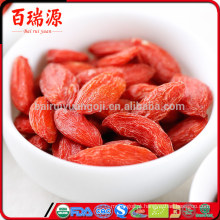 Goji goji berries vitamina sem calorias goji